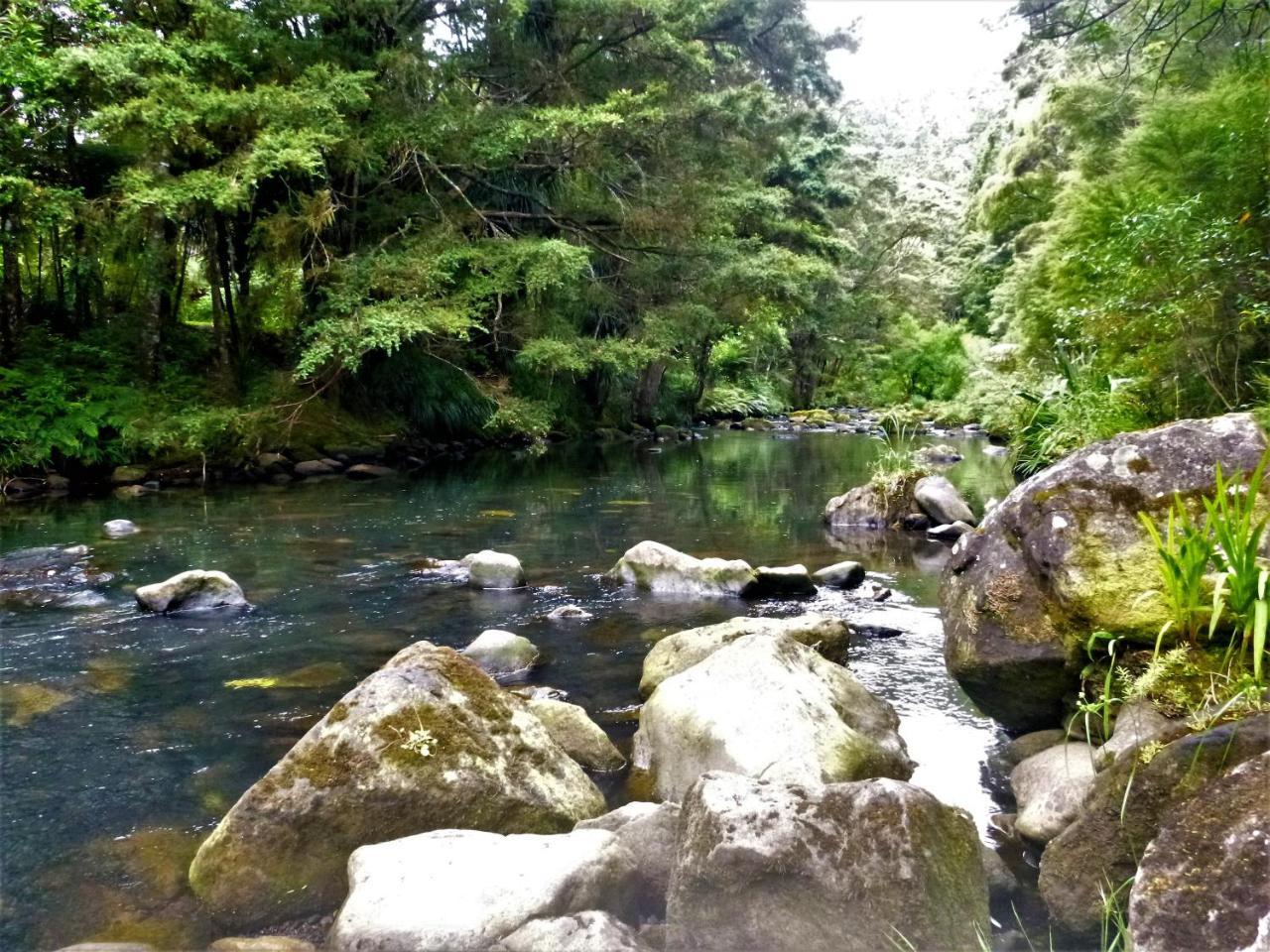 Kauri Nest Bed and Breakfast Whangarei Eksteriør billede
