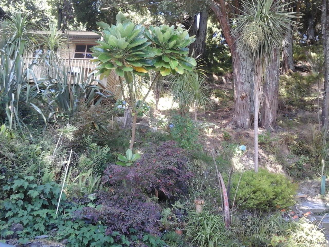Kauri Nest Bed and Breakfast Whangarei Eksteriør billede