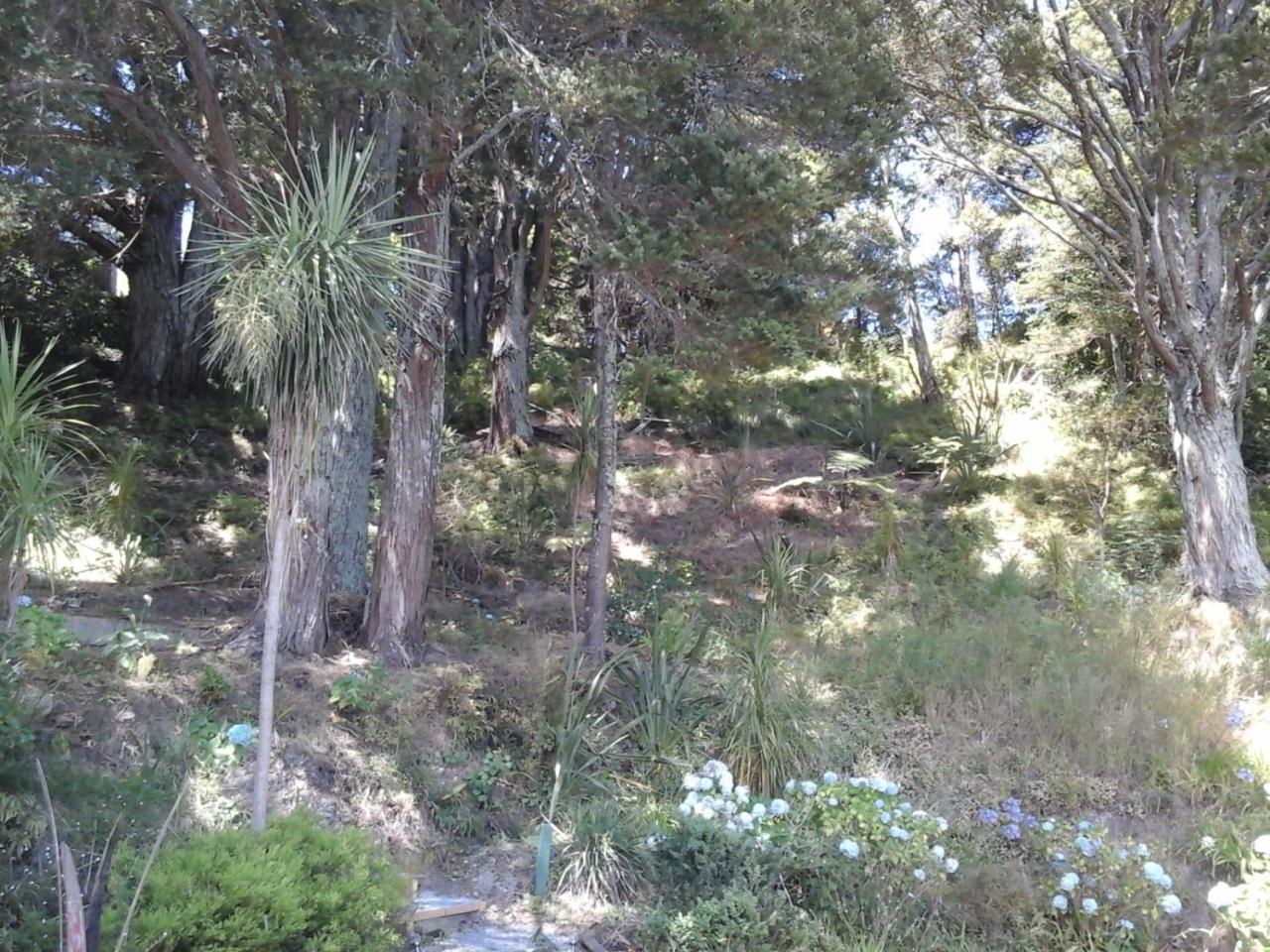 Kauri Nest Bed and Breakfast Whangarei Eksteriør billede
