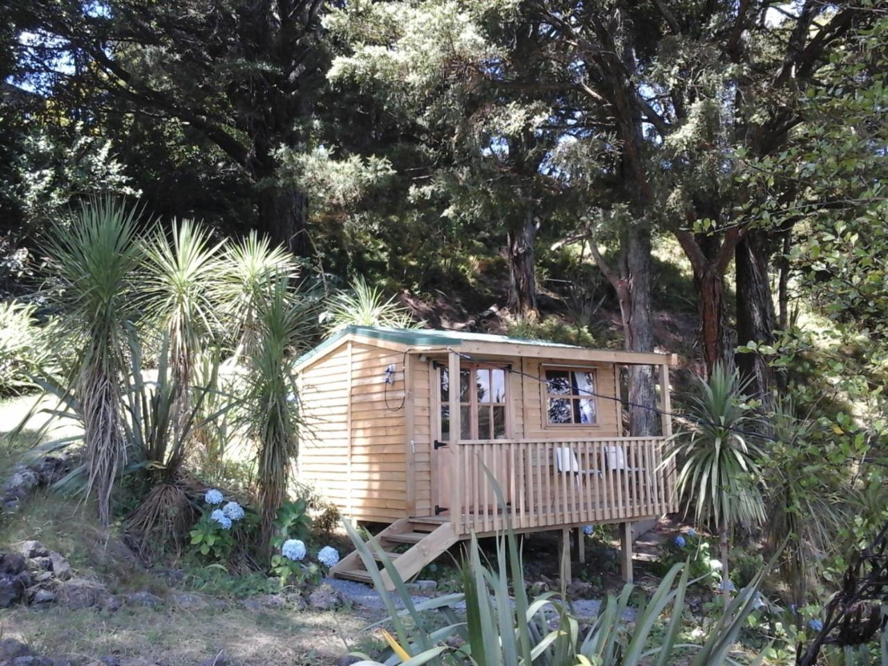Kauri Nest Bed and Breakfast Whangarei Eksteriør billede